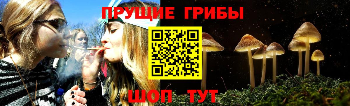 Псилоцибиновые грибы MAGIC MUSHROOMS Братск